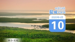 鹽城早新聞4月10日 |中共中央、國務(wù)院發(fā)布《關(guān)于構(gòu)建更加完善的要素市場化配置體制機制的意見》；全球確診新冠肺炎超143萬例