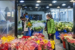 上海：花卉市场开市忙