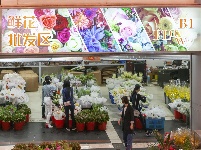 上海：花卉市场开市忙