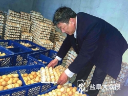 “网红”书记——带货卖鸡助农打开市场