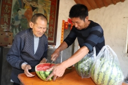 东台镇：五保老人再次吃上“爱心瓜”