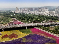 陕西宝鸡：渭河生态景观美