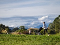 新西兰公园重新开放