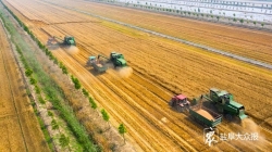 众视 | 上海农场：“芒种”时节忙收也忙种