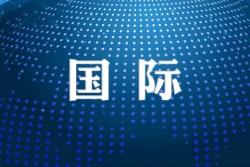 中国赴巴抗疫医疗专家组为华侨华人举办视频交流会