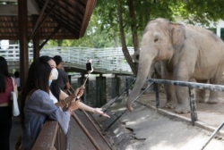 泰国动物园免费向民众开放