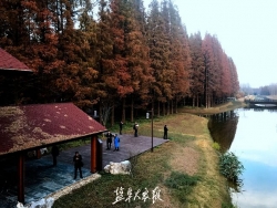 东台黄海海滨国家森林公园入选首批国家森林康养基地