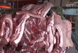 2万吨中央储备冻猪肉今日投放，累计投放43万吨