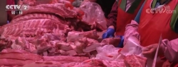 发改委：猪粮比价过度下跌一级预警，将启动猪肉储备收储