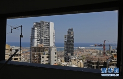 荷兰驻黎巴嫩大使夫人因贝鲁特港口爆炸受伤不治身亡
