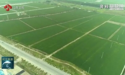 补齐农业基础短板 保障国家粮食安全　江苏发布意见着力提高粮食综合生产能力
