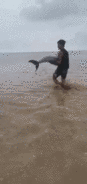 三条海豚，在盐城滩头搁浅！幸遇他们……