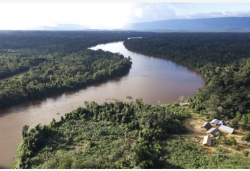 巴西官方更正：亚马孙雨林8月火灾数量创十年新高　