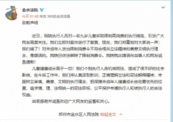 对9岁儿童采取限制高消费，郑州金水法院致歉