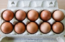 禽流感疫情致欧盟多国蛋价上涨