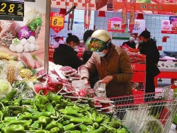 节日市场供应有保障  市区部分蔬菜价格明显下降