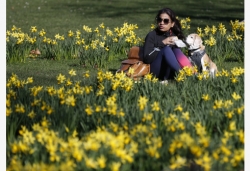 英国伦敦：春的讯息