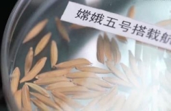 中国天稻“航二代”首次成功育苗
