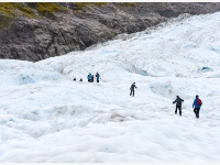 正退化的新西兰福克斯冰川