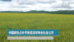 中国耕地占补平衡情况将向全社会公开