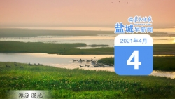 鹽城早新聞4月4日｜尋訪江蘇鹽阜老區(qū)128個以英烈名字命名的村鎮(zhèn)；綠色祭祀，文明新風(fēng)更“清明” 