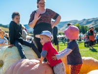 新西兰：南瓜节给孩子带来欢乐