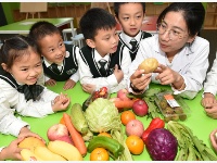 学生营养日学习健康饮食