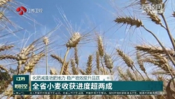 化肥减量培肥地力 稳产增效提升品质 江苏全省小麦收获进度超两成