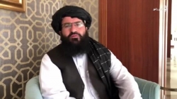 阿富汗塔利班称不打算组建过渡政府