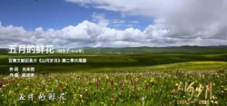 山河岁月 五月的鲜花MV ——纪念日本无条件投降76周年