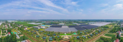 江苏东台三仓镇：农业生产迈向现代化 建设幸福新家园