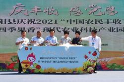 射阳庆祝2021“中国农民丰收节”活动启动
