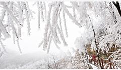 突降大雪！黑龙江省大兴安岭呼中区迎来大范围降雪