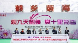 射阳第五届江苏菊花文化艺术节开幕 长三角菊花产业高质量发展峰会举行