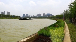 一年来，千里江苏运河展新颜！