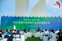 江苏盐城：亭湖举办首届中国辣椒产业创新发展大会