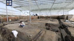 距今4700年！湖南发掘出大型史前木结构建筑遗迹 