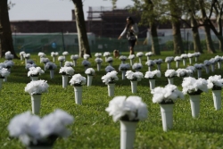 全球连线 丨 美国纽约：白色瓶花悼念枪支暴力遇难者