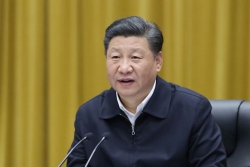 习近平将出席亚太经合组织第二十八次领导人非正式会议 