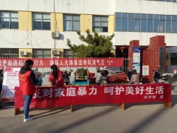 建湖县沿河镇：扎实开展“11.25”国际反家暴日宣传