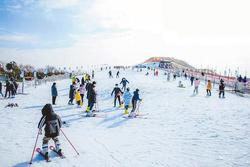 金沙湖冰雪节掀起运动健身热潮   央视新闻联播、新闻30分栏目做报道