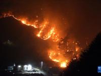 韩国：山火肆虐