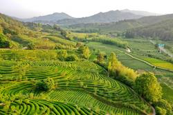 联合国粮农组织认定中国三处全球重要农业文化遗产