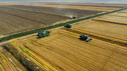 江苏射阳：2.6万亩大麦开镰！秸秆打捆绘就最美“麦收”