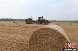 【大国“粮”策】河北景县41万吨小麦秸秆打捆离田“变废为宝”