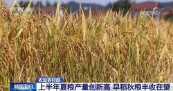 夏粮小麦实现增产 全年粮食丰收有基础