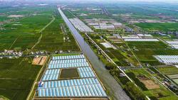 江苏射阳：发展低碳绿色经济，推广农业循环生产