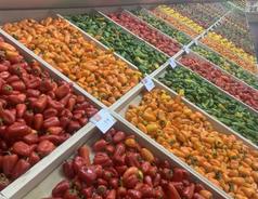 农业农村部：进入收获旺季 全国蔬菜生产供应有保障