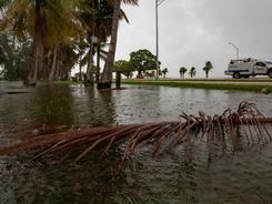 飓风“伊恩”强势登陆佛罗里达　180万用户断电