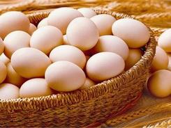 外媒：法国鸡蛋价格飙升 食品公司被迫改配方